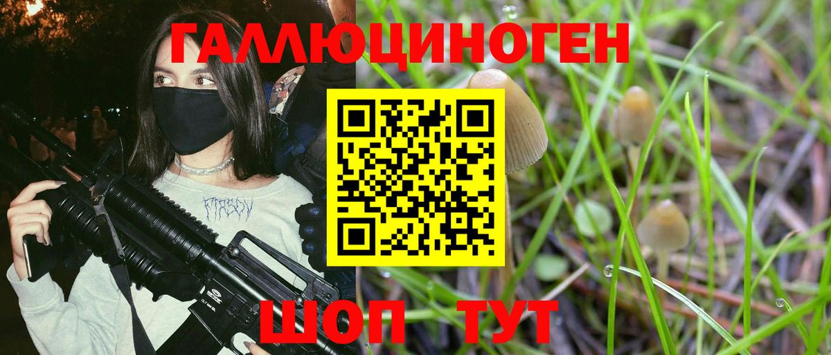 где купить наркоту  Псилоцибиновые грибы ЛСД  Вход с VPN  Ачхой-Мартан 